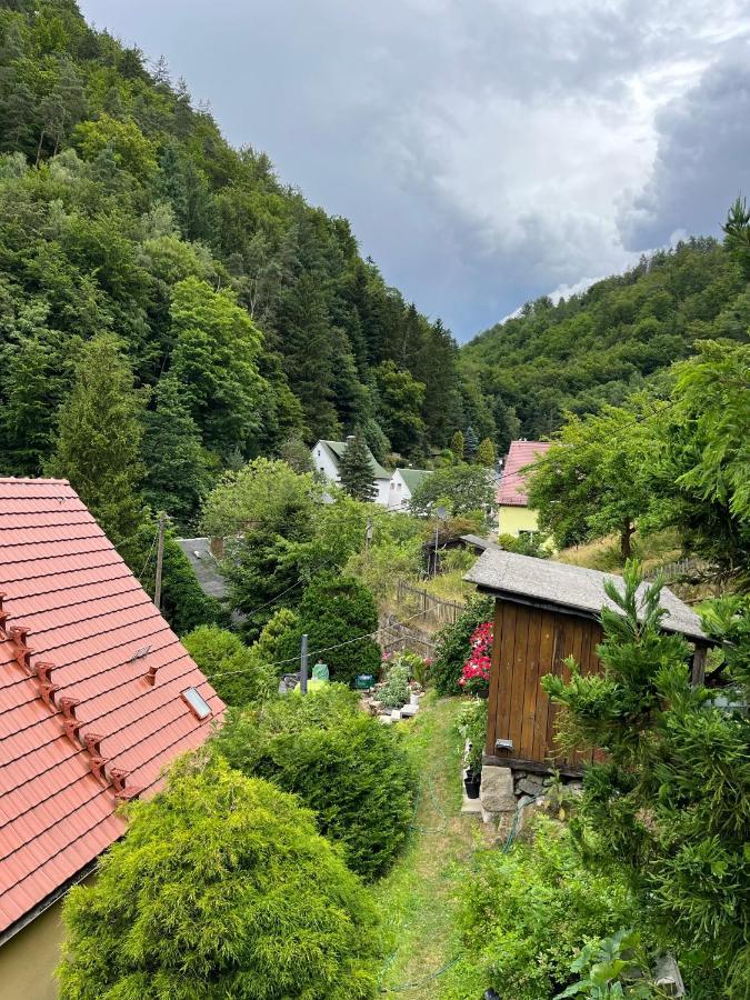 Pension Alpenrose Бад-Шандау Экстерьер фото