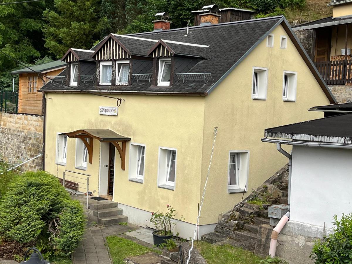 Pension Alpenrose Бад-Шандау Экстерьер фото